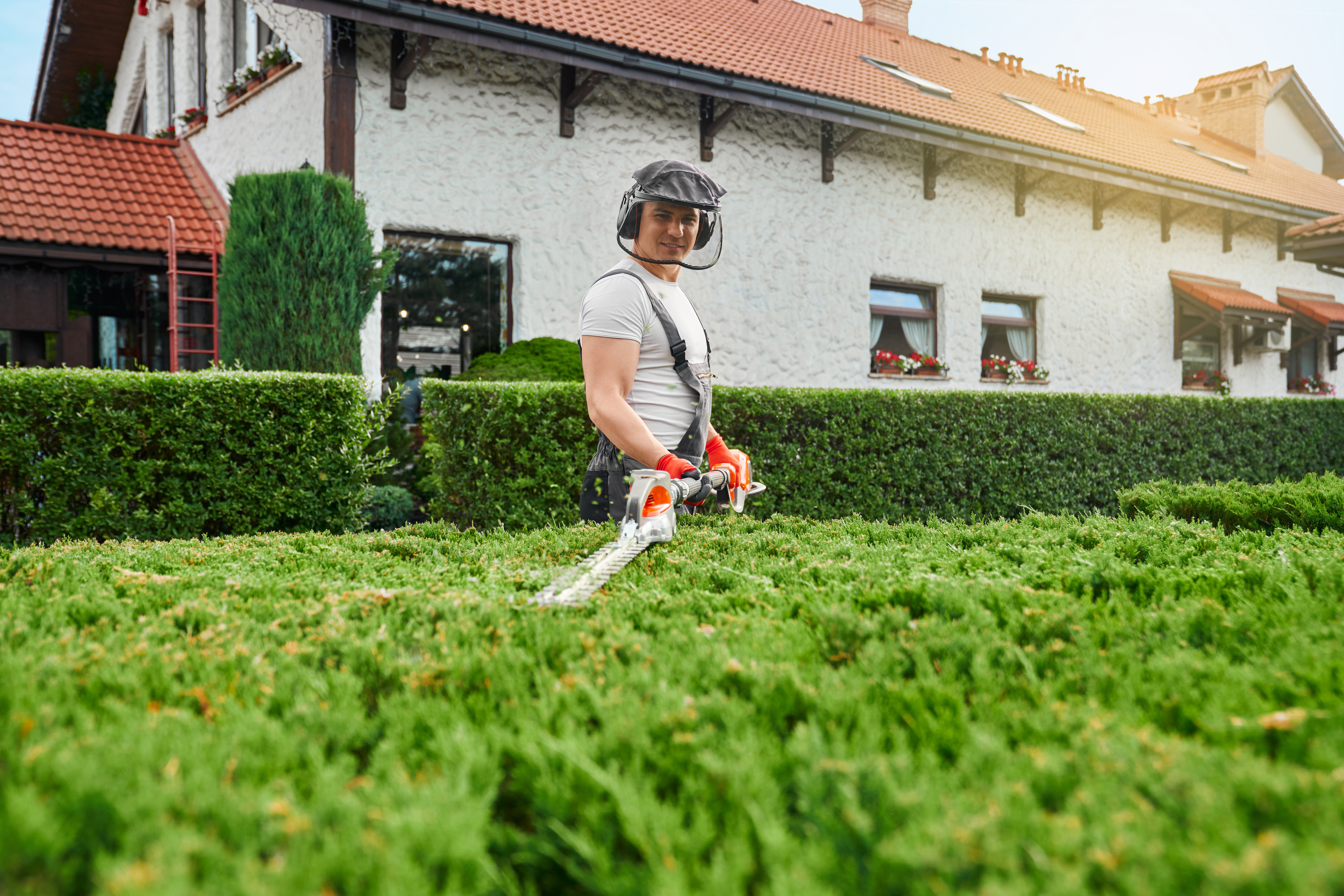 Lawn care service in action